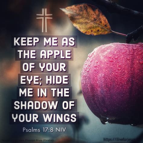 apple of eye – I Live For JESUS