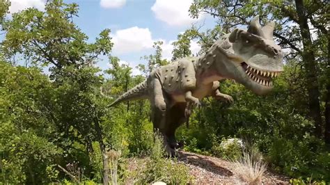 Dinosaurs at the zoo!!! Just the dinos! - YouTube