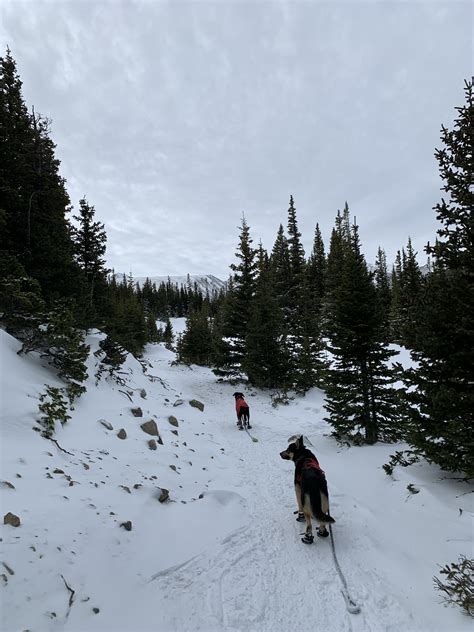 Enjoying the snow in Colorado : r/hiking