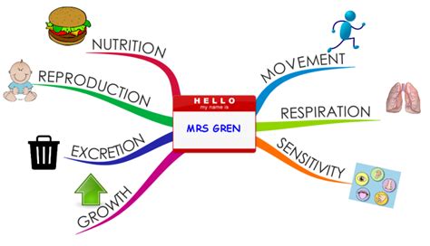 MRS GREN - 7 Characteristics of Life: iMindMap mind map template | Biggerplate