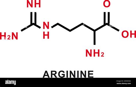 Arginine chemical formula. Arginine chemical molecular structure ...