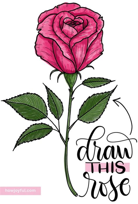 Small Rose Flower Drawings | Best Flower Site