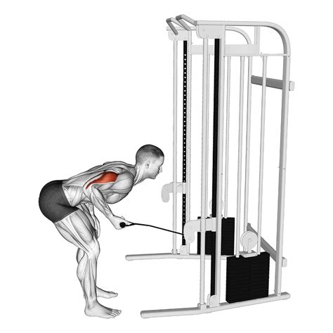 5 Best Tricep Workouts With Cables (with Pictures!) - Inspire US