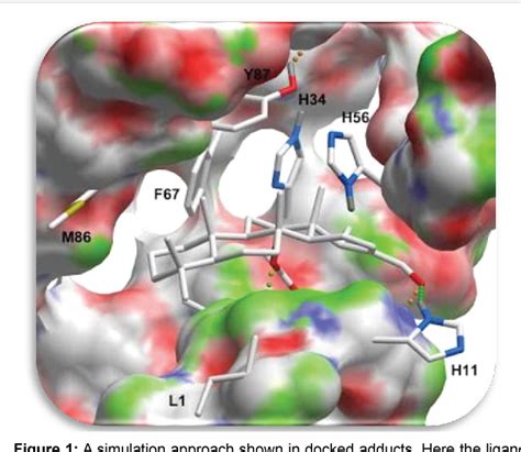 Molecular Docking: Approaches, Types, Applications and Basic Challenges ...