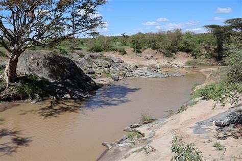 Mtito Safari Camp - Sekenani, Kenya Resort - Prices & Reviews