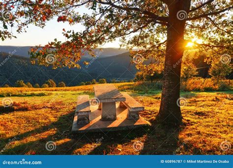 Park Table with Benches at Sunset Stock Image - Image of evening, picnic: 60896787