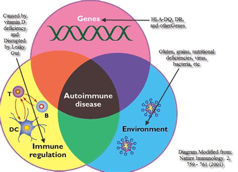 Gluten and Autoimmune Disease - BodyCures - Westchester NY