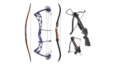 What bow types are available to the archer and hunter? » targetcrazy.com