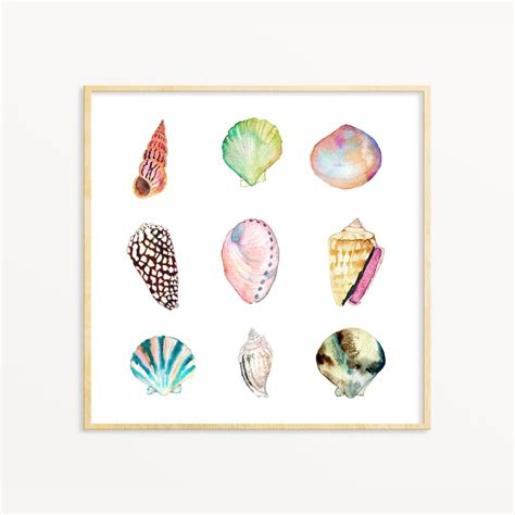 Sea Shell Collection Art Print. Watercolor Sea Shells Art. - Etsy