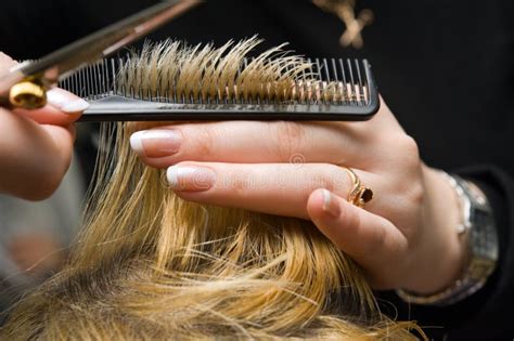 Scissors cutting hair stock photo. Image of hold, cutting - 8758572