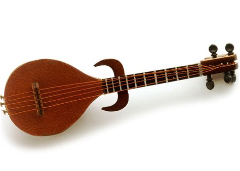 From Rebab to Violin, a Short History | Johnson String Instrument