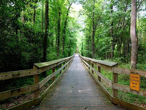 Cape Fear River Trail - Great Runs