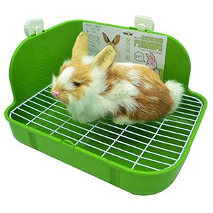 Rabbit Litter Boxes - Our Favorite Picks For 2021