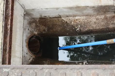 Drain question - understanding interceptor trap | DIYnot Forums