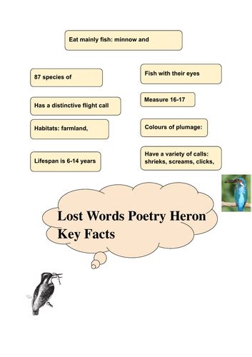 Poetry Lost Words Unit | Teaching Resources