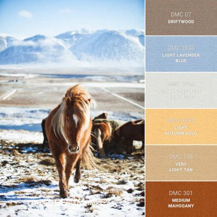 Pony In Iceland - Embroidery Color Palette (With Thread Codes)