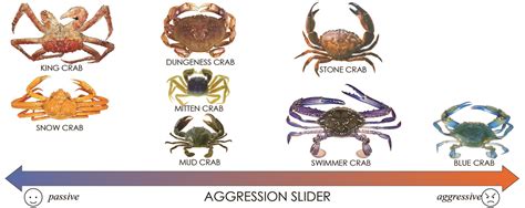 crab types