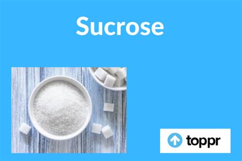 What is Sucrose: Definition, Sources, Structure, Properties, Examples