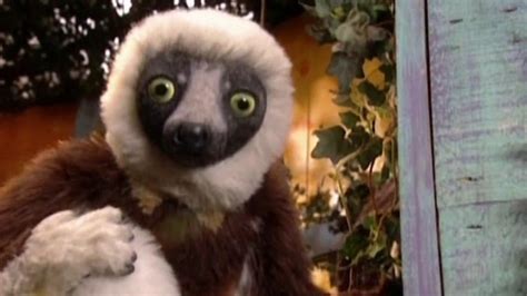 Powerhouse - Zoboomafoo (Season 3, Episode 8) | Apple TV