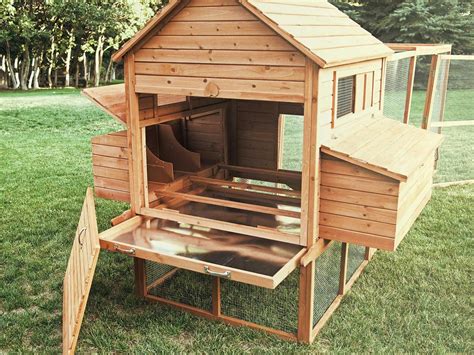 An interior view of the Ranch chicken coop, showing nesting areas, mess pans, and roosts # ...