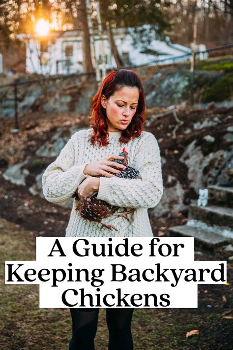 A Comprehensive Guide for Keeping Backyard Chickens – Live Love Simple