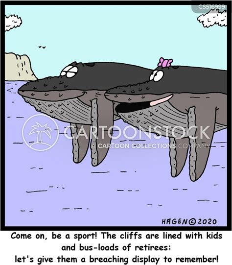 Humpback Whale Cartoons and Comics - funny pictures from CartoonStock