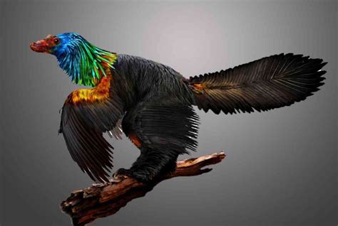 Scientists Discover 161 Million-year-old 'Rainbow Dinosaur' With Iridescent Feathers - Geology In