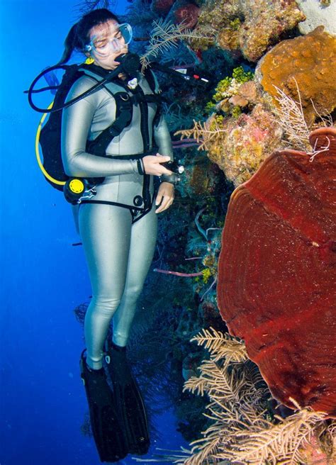 Miki's wall photos | Scuba girl wetsuit, Scuba girl, Scuba