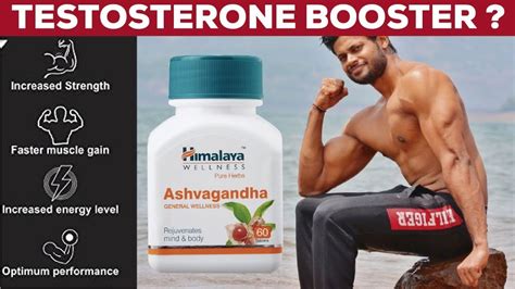 DOES ASHWAGANDHA BOOST TESTOSTERONE AND BUILDS MUSCLE || 100 % RESEARCH PROVEN INFO || - YouTube