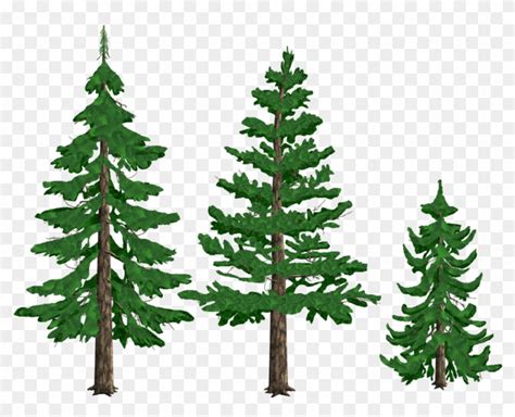 Pine Trees By Tyke44060 On Deviantart - Pine Tree Drawing Png - Free Transparent PNG Clipart ...