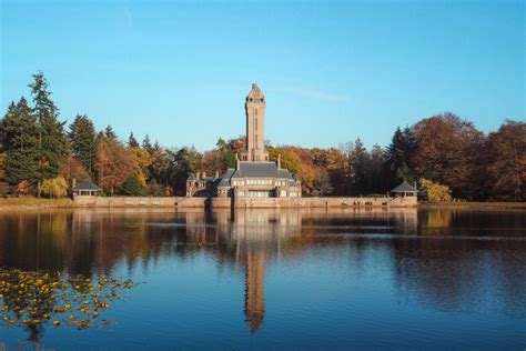 Hoge Veluwe National Park, The nature of Holland - Arista's Travelogue