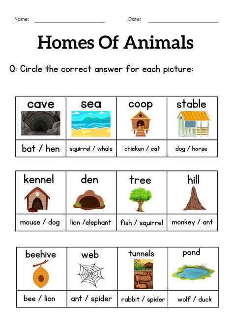 Animals and their homes worksheets for grade 1 2 3 - homes of animals ...