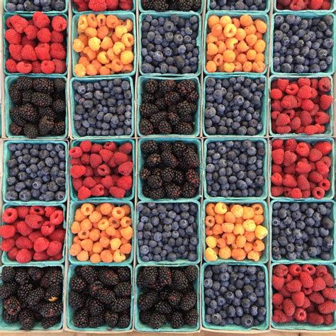 Gambar : menanam, buah, Berry, bunga, pola, makanan, menghasilkan, pencuci mulut, berry, bluberi ...