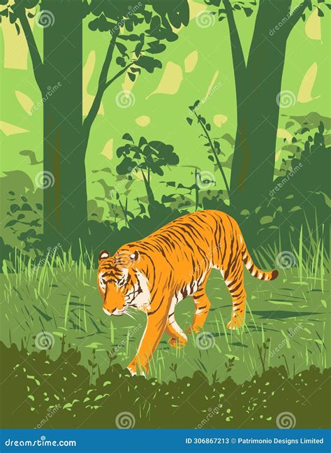 Bengal Tiger in Kanha Tiger Reserve Madhya Pradesh India Art Deco WPA Poster Art Stock Vector ...