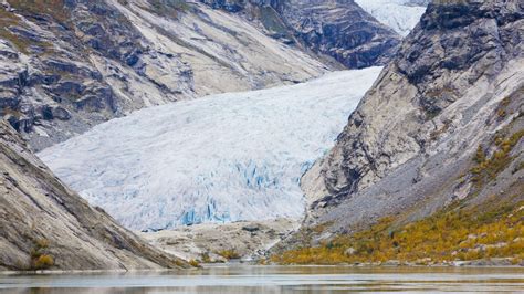 Trip to Jostedal National Park in Skjolden, Norway | Port Adventures ...