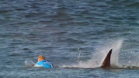 Watch Surfer Mick Fanning Fight Off Shark Attack - NBC News