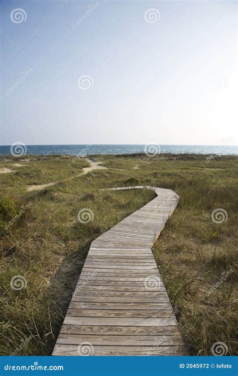 Path to beach stock photo. Image of walkway, pathway, travel - 2045972