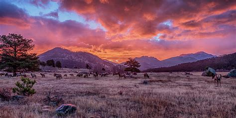 Rocky Mountain Sunrise Photograph by Susan Rissi Tregoning - Fine Art ...