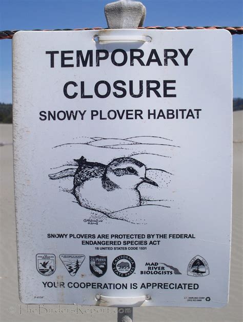 Revised Critical Habitat for the Pacific Coast Western Snowy Plover ...