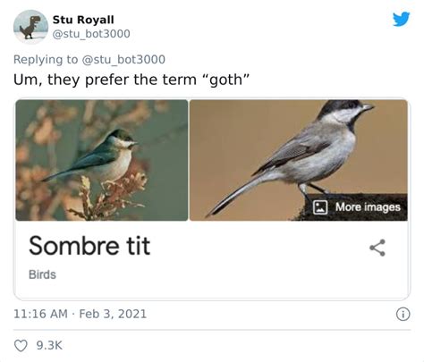 Derogatory Bird Names When Applied to Humans