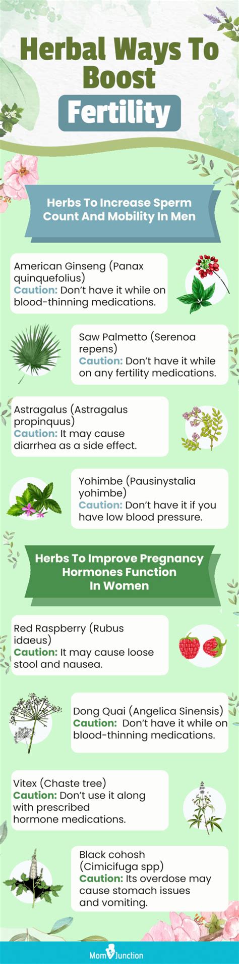 20 Fertility Herbs For Men And Women: Things You Should Know