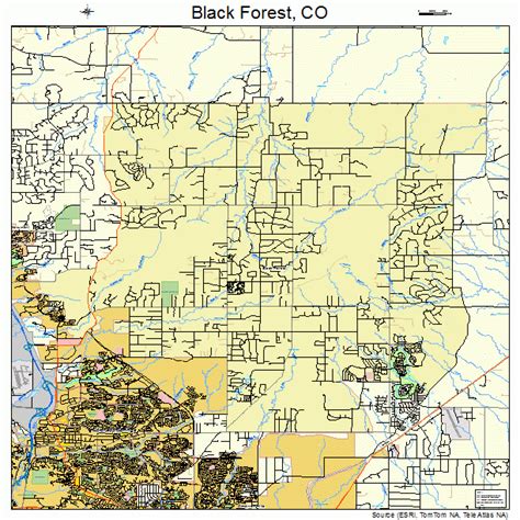 Black Forest Colorado Street Map 0806970