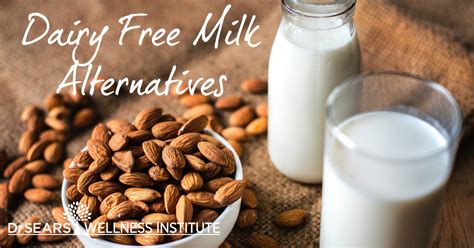 Dairy Free Milk Alternatives| Dr. Sears Wellness Institute