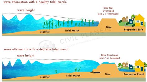 What Is Coastal Protection Structures? & Its Importance