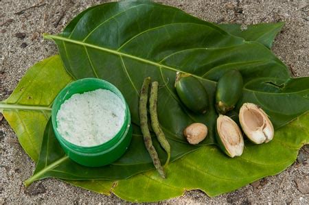 The Beginning: The Habit of Betel Nut Chewing – Part II