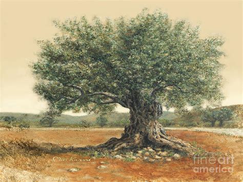 The old olive tree. by Miki Karni Painting by Miki Karni - Fine Art America