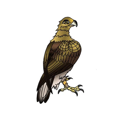 Golden Eagle Drawing