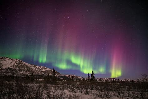 Green And Pink Aurora Borealis Photograph by Carl Johnson | Pixels