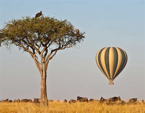 Hot Air Balloon Safari in Masai Mara, A Dream Experience