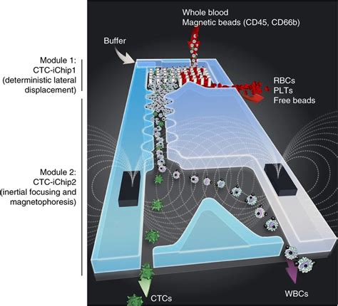 A new method of isolation of circulating tumor cells from blood